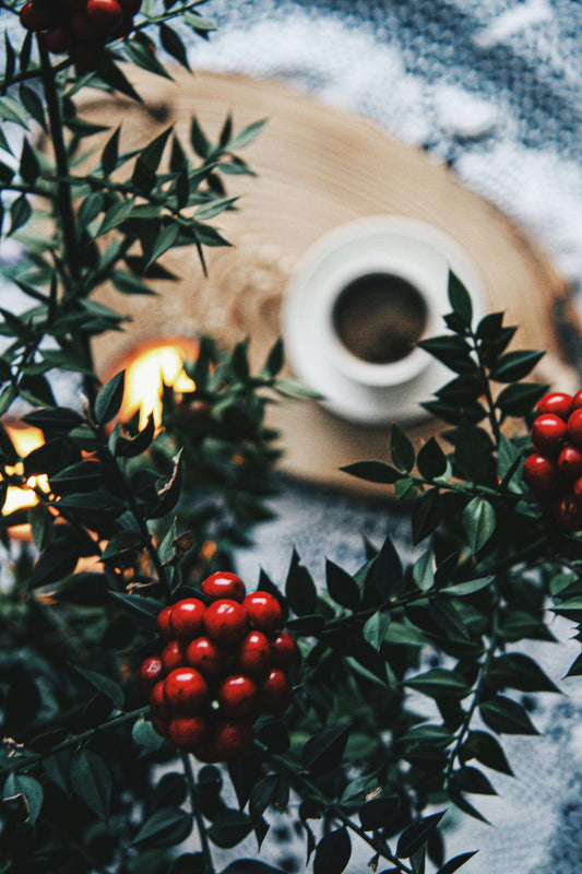 NEW! WINTER CRISP GIFT SET - candle + room spray