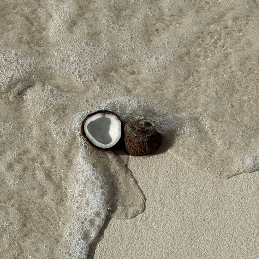 MIDNIGHT ISLAND candle - sultry coconut + amber