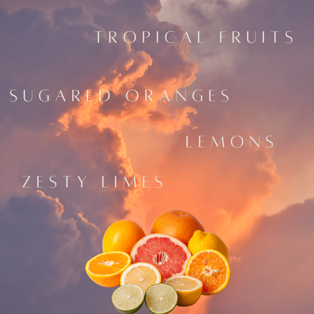 TROPICAL SUNRISE - sugared fruits