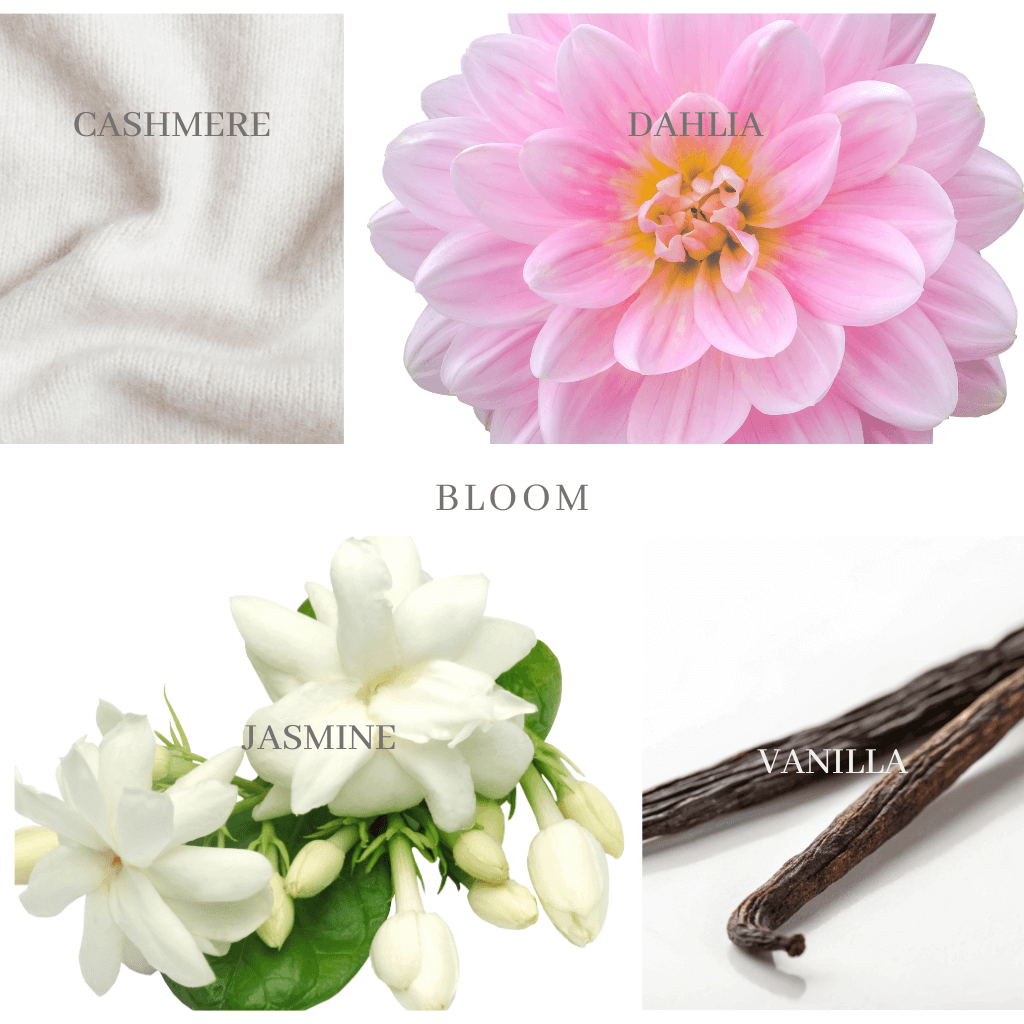 NEW! BLOOM Candle - floral & woody