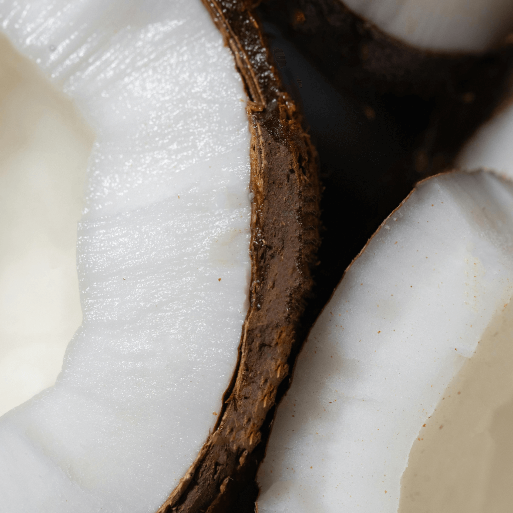 MIDNIGHT ISLAND candle - sultry coconut + amber