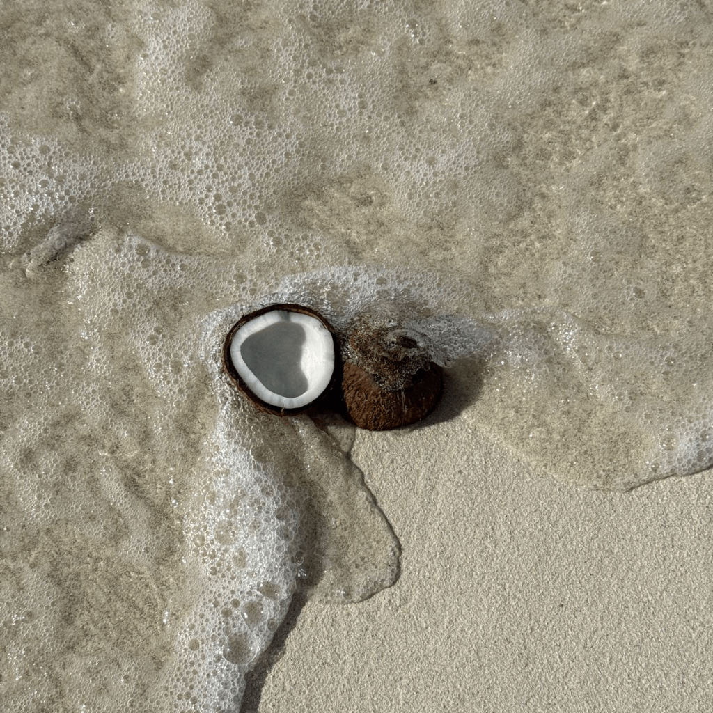 MIDNIGHT ISLAND 13oz candle - sultry coconut + amber