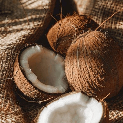 MIDNIGHT ISLAND candle - sultry coconut + amber