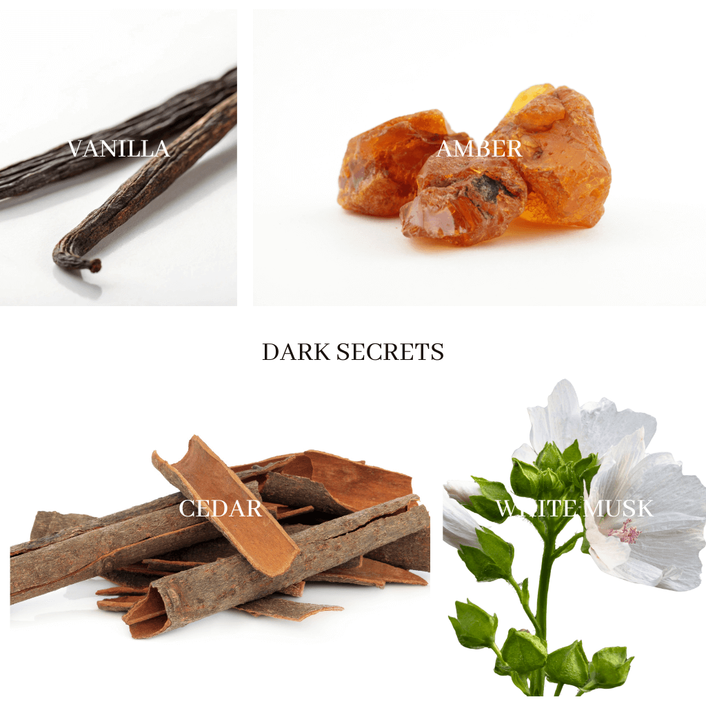 DARK SECRETS Reed Diffuser - warm & sensual