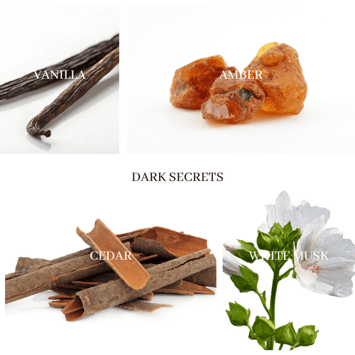 DARK SECRETS Reed Diffuser - warm & sensual