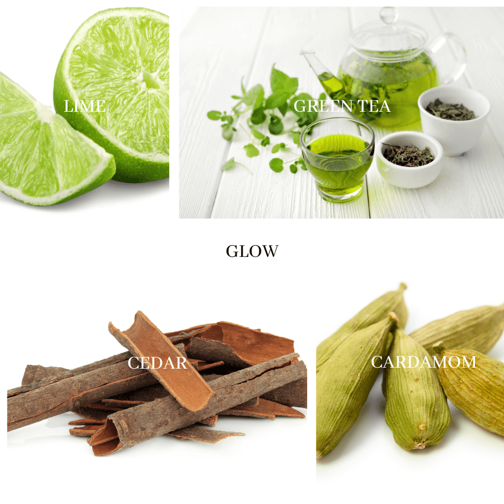 GLOW Reed Diffuser - fresh & clarity