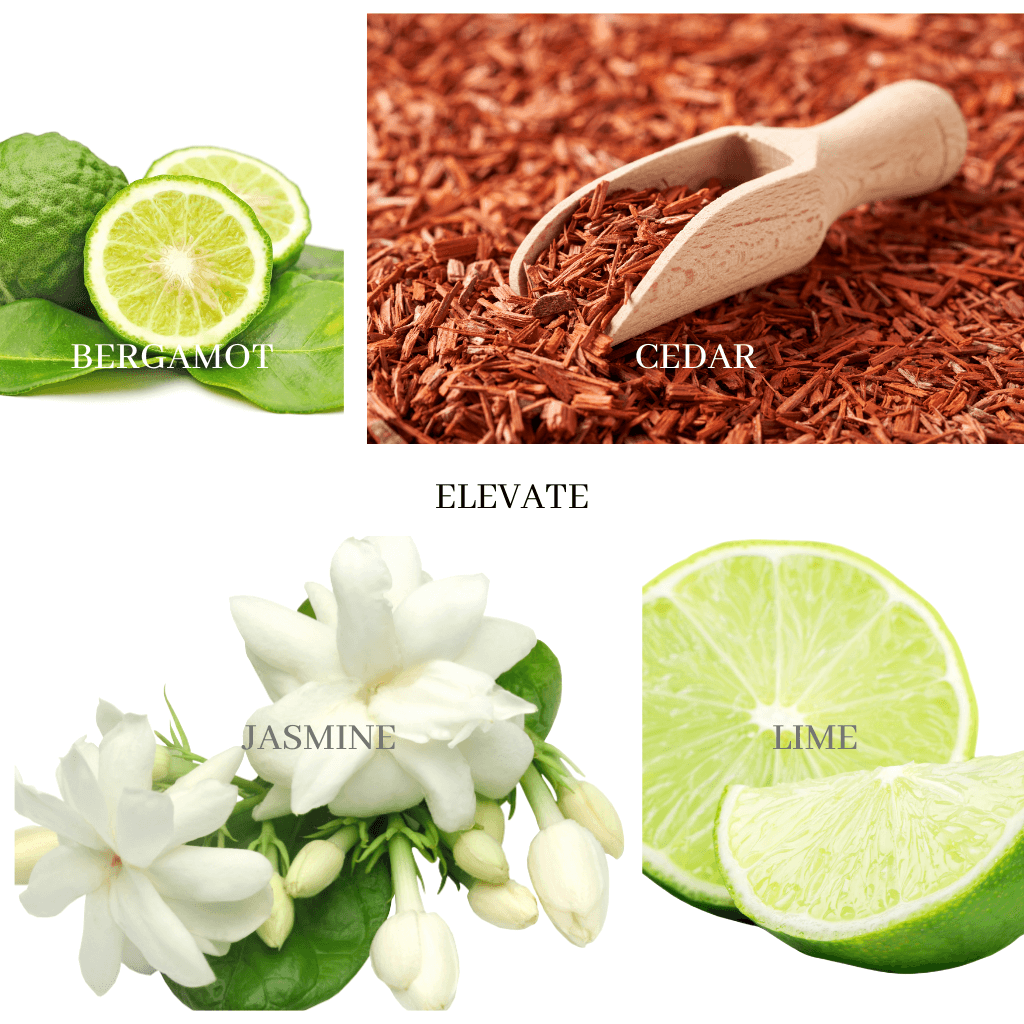 ELEVATE Candle - uplifting & energizing
